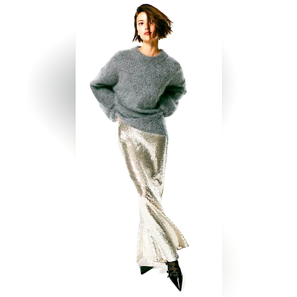 H&M sold out sequin maxi skirt - NWT, size 4